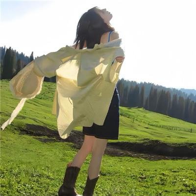不死鸟之恋